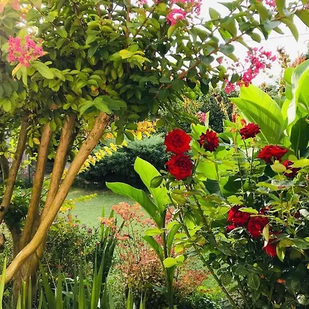 Au Boom Coeur En Options Et Repas Holiday home *