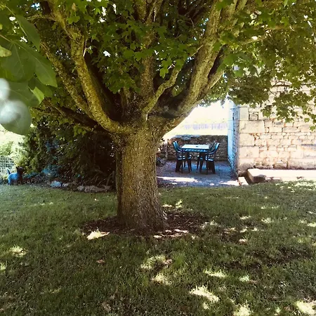 Au Boom Coeur En Options Et Repas