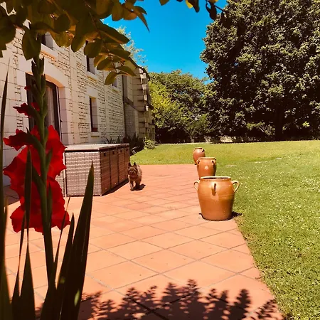 Au Boom Coeur En Options Et Repas *